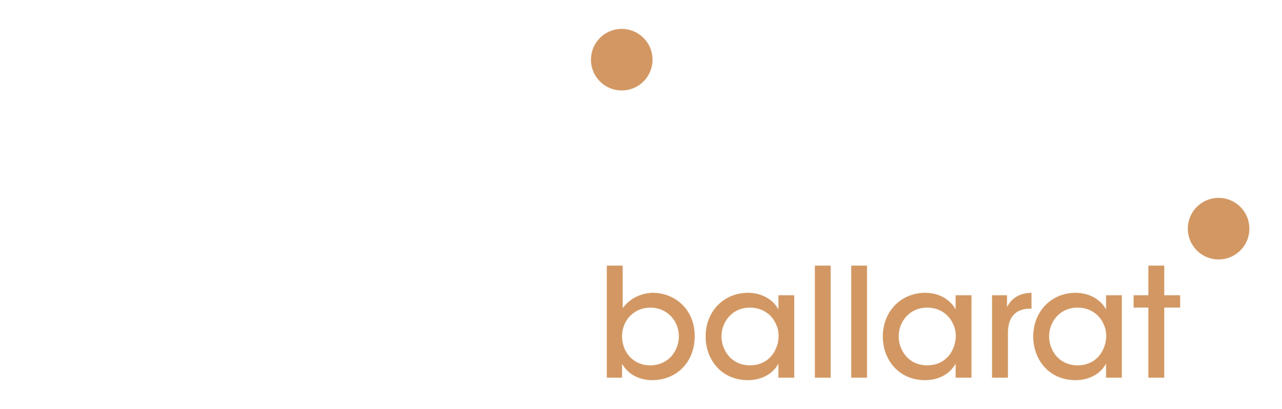 Physio Co. Ballarat White logo